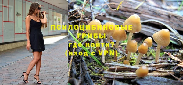 амф Санкт-Петербург