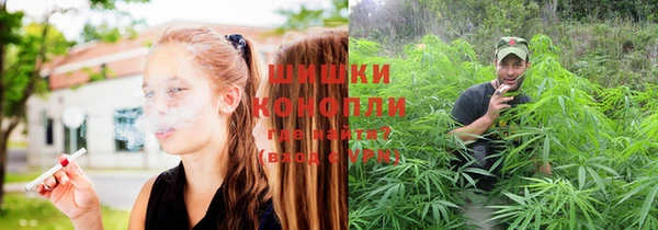 каннабис Новосибирск