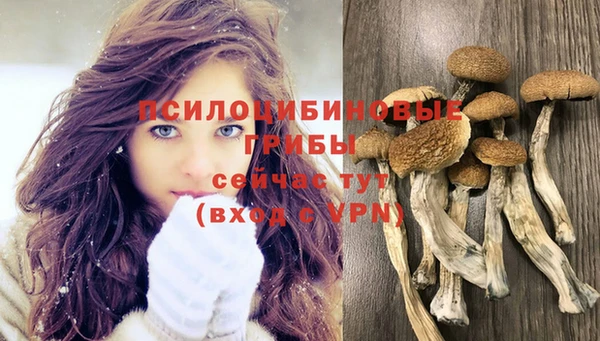 амф Санкт-Петербург